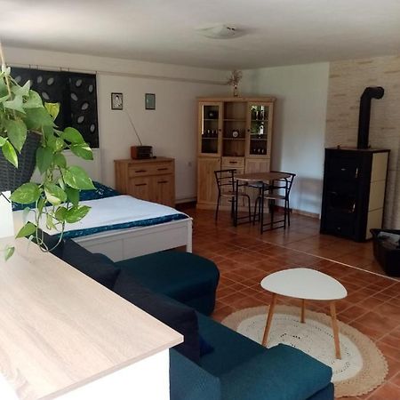 Apartman Ivana Apartment Rumburk Exterior photo